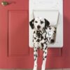 PetSafe® Elektronická dvířka SmartDoor™ velikost L pro domácí mazlíčky - Image 2