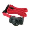 PetSafe® Elektrický ohradník pro psy Basic - Image 2